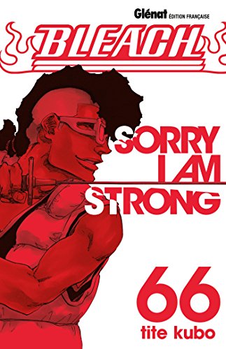 Bleach 66: Sorry I am strong